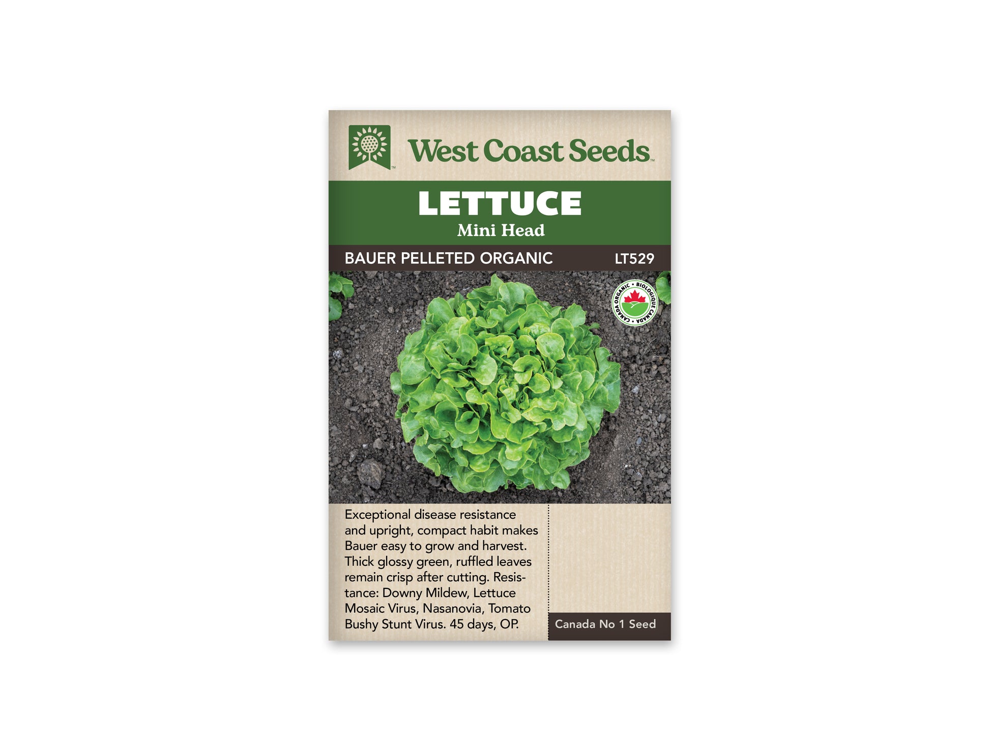 Lettuce "Lovelock Organic" West Coast Seeds
