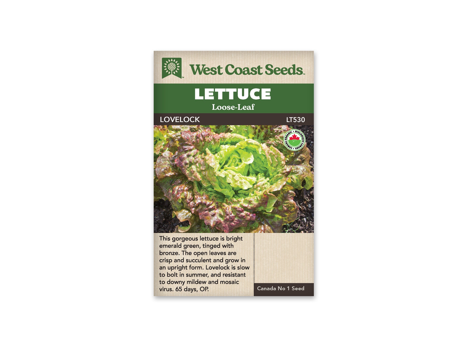 Lettuce "Lovelock Organic" West Coast Seeds