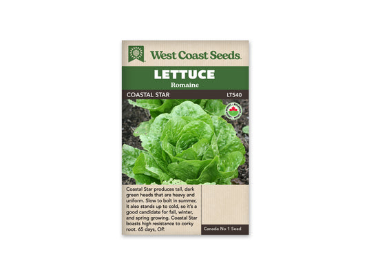 Lettuce “Coastal Star Organic” West Coast Seeds
