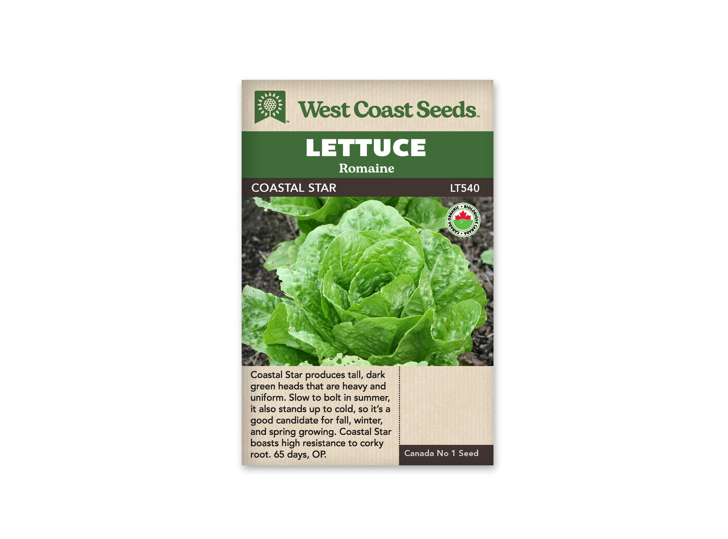 Lettuce "Coastal Star Organic" West Coast Seeds