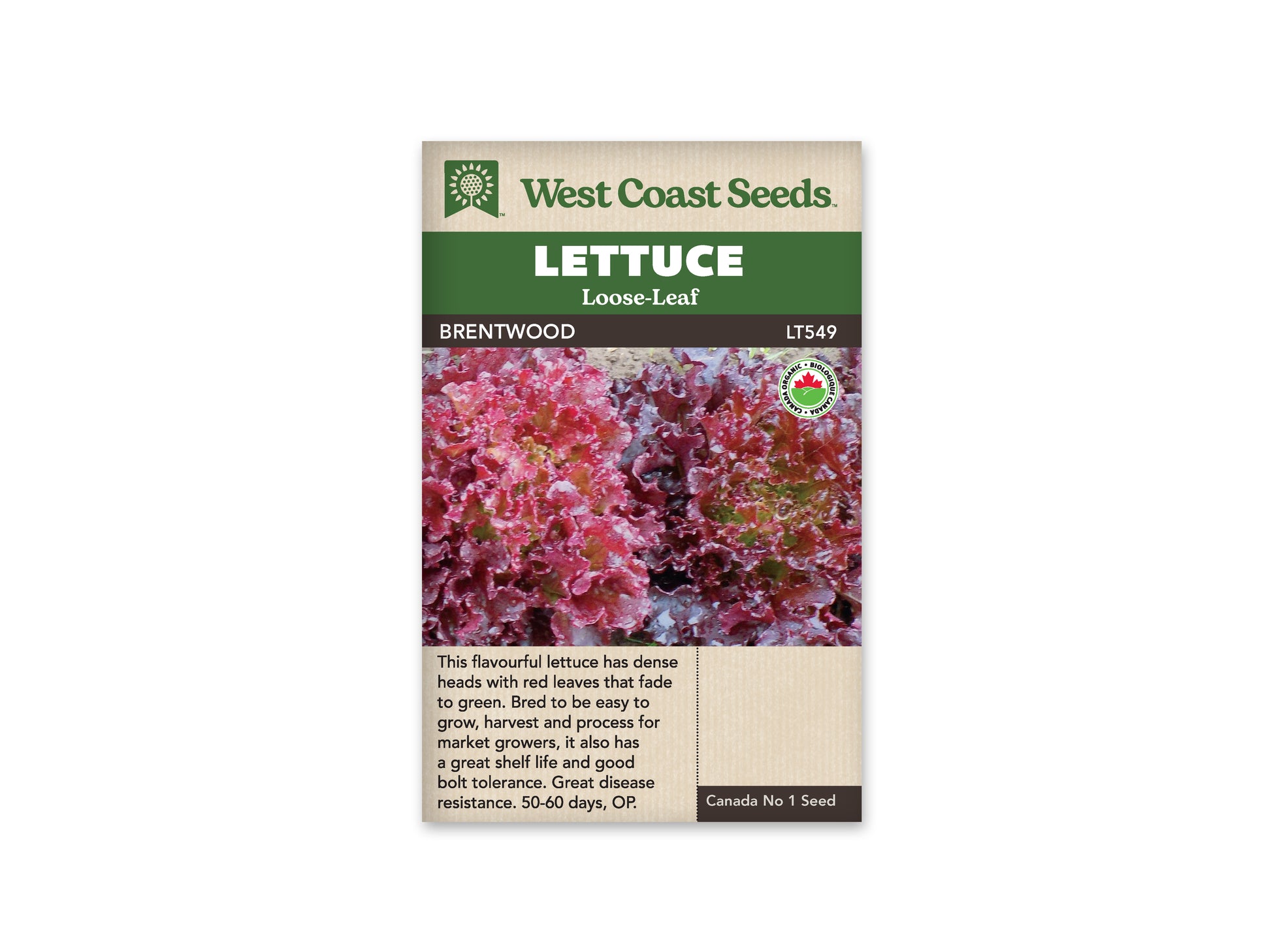 Lettuce "Brentwood Eazyleaf Organic" West Coast Seeds