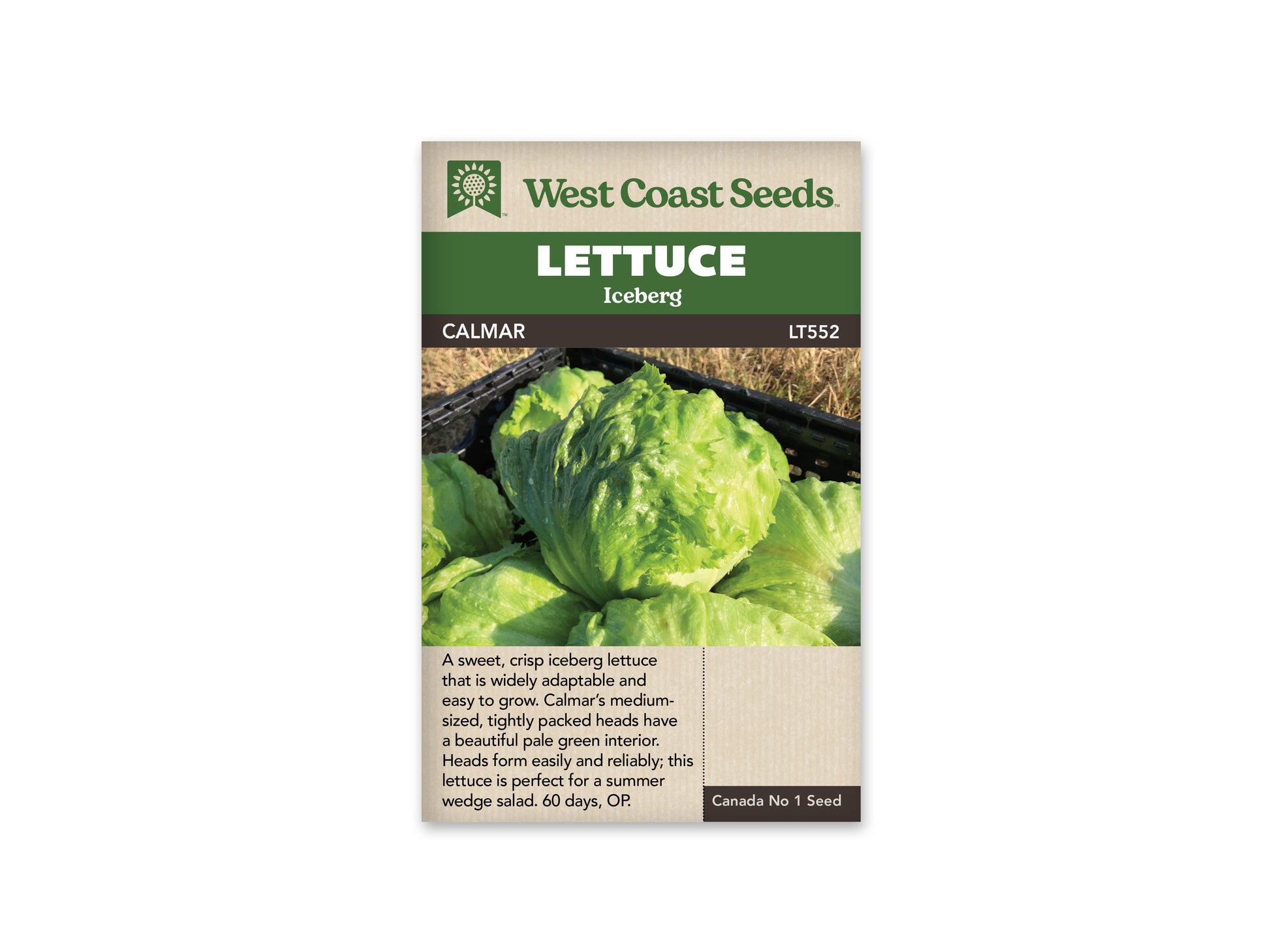 Lettuce “Calmar” West Coast Seeds
