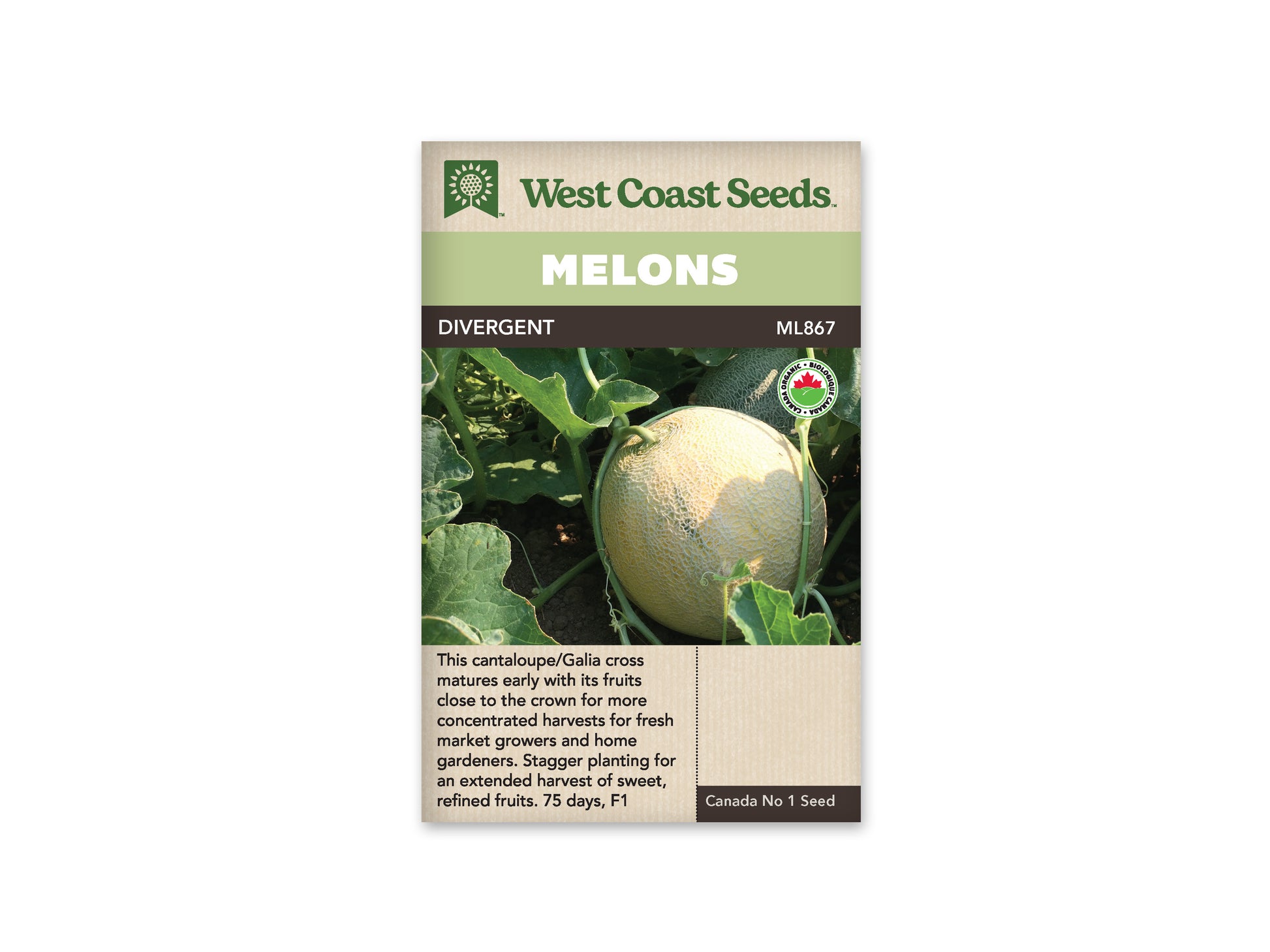 Melons “Divergent F1 Organic” West Coast Seeds