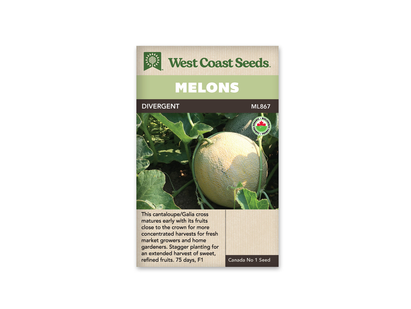Melons “Divergent F1 Organic” West Coast Seeds