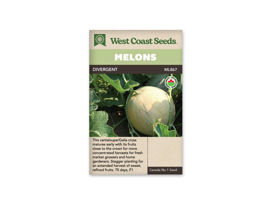 Melons “Divergent F1 Organic” West Coast Seeds