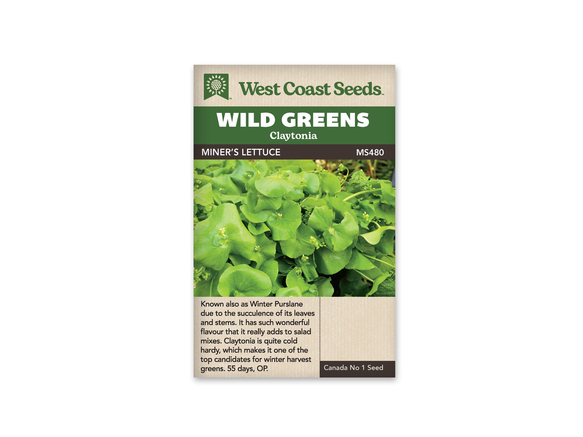 Greens "Miner's Lettuce" West Coast Seeds