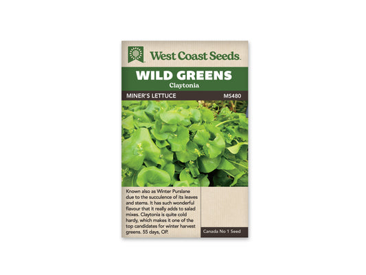 Greens "Miner's Lettuce" West Coast Seeds