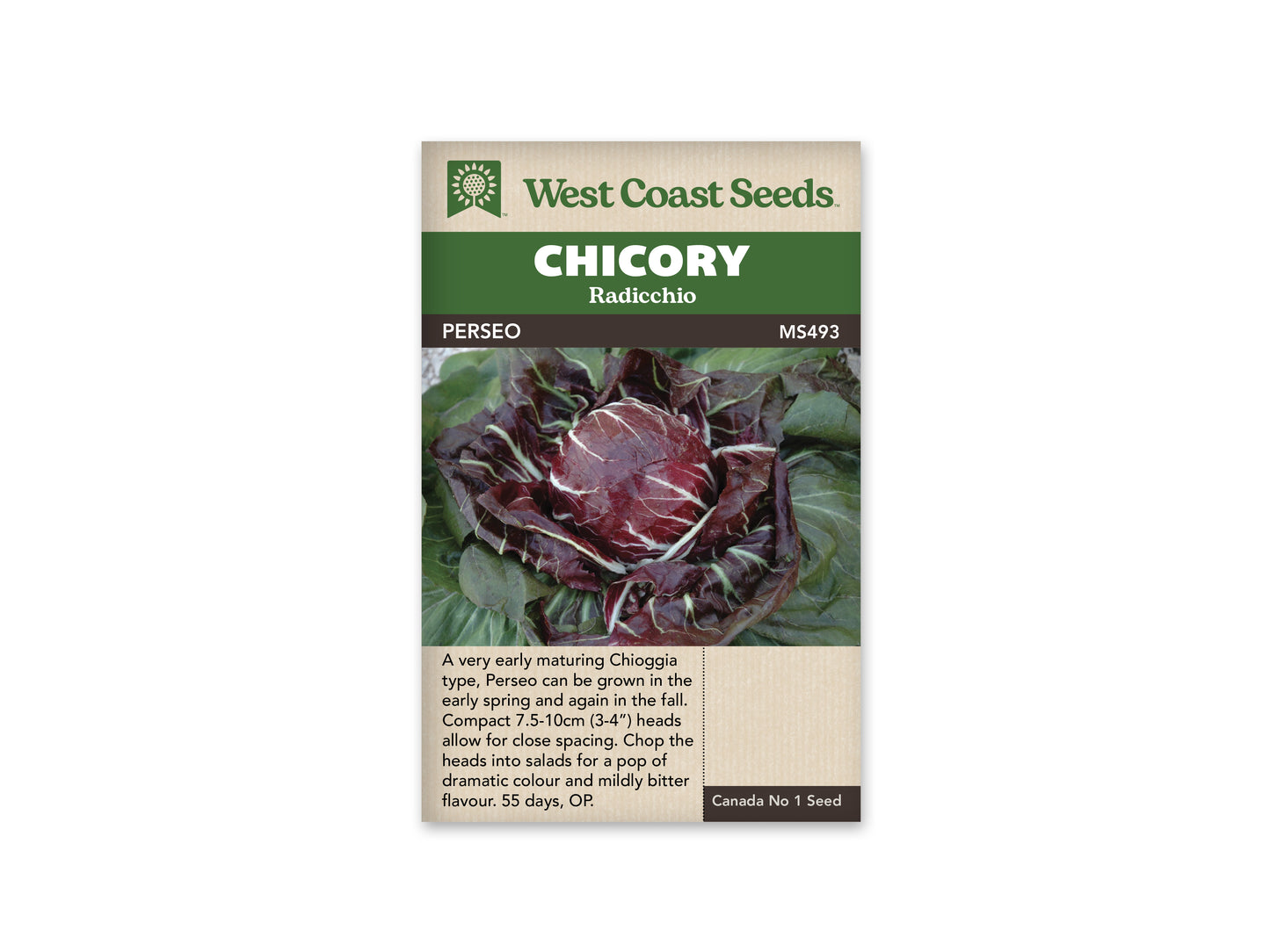 Chicory "Perseo" West Coast Seeds