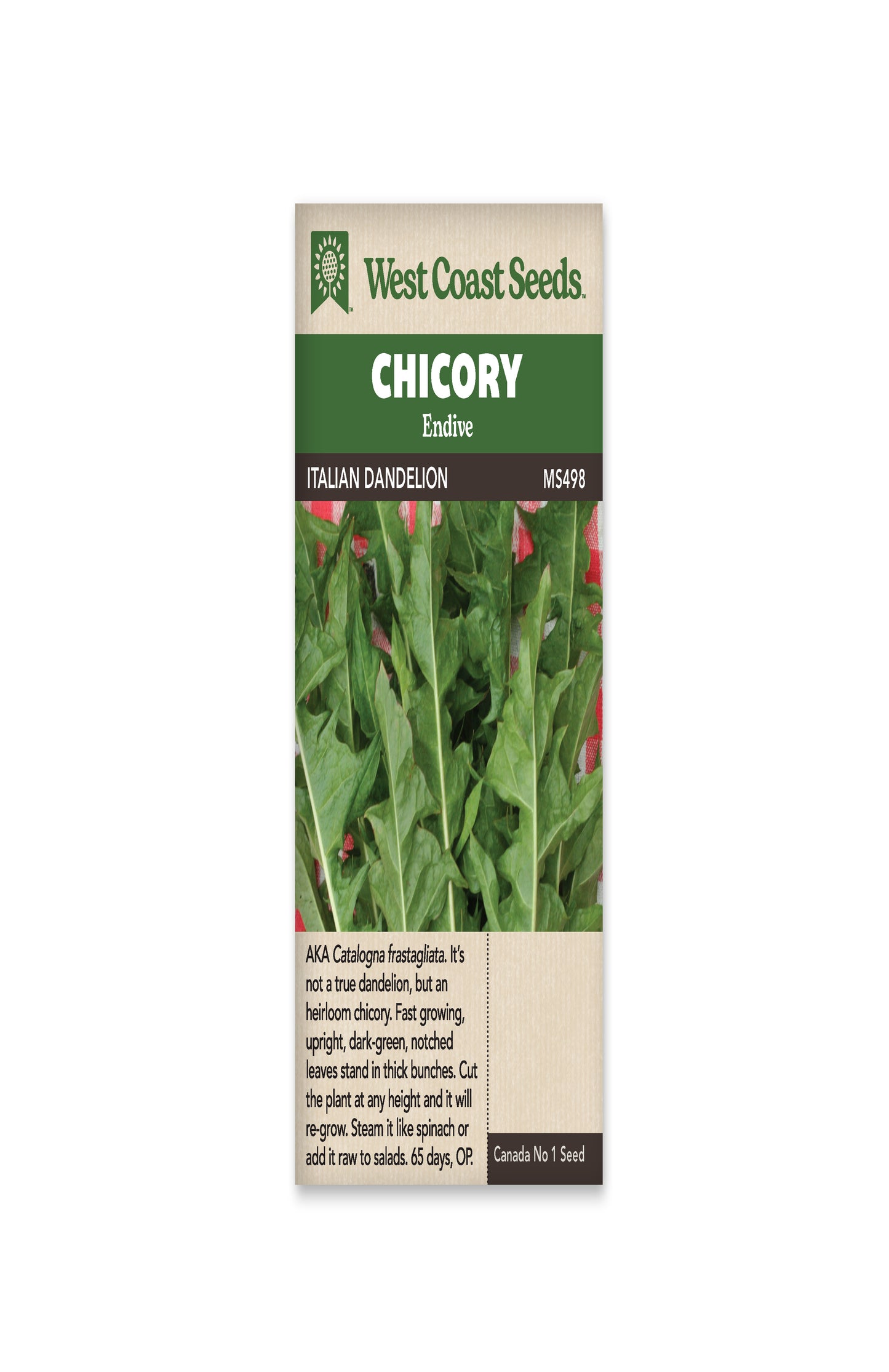 Chicory "Italian Dandelion" West Coast Seeds