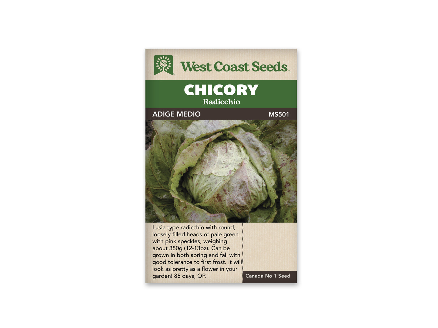 Chicory "Adige Medio" West Coast Seeds