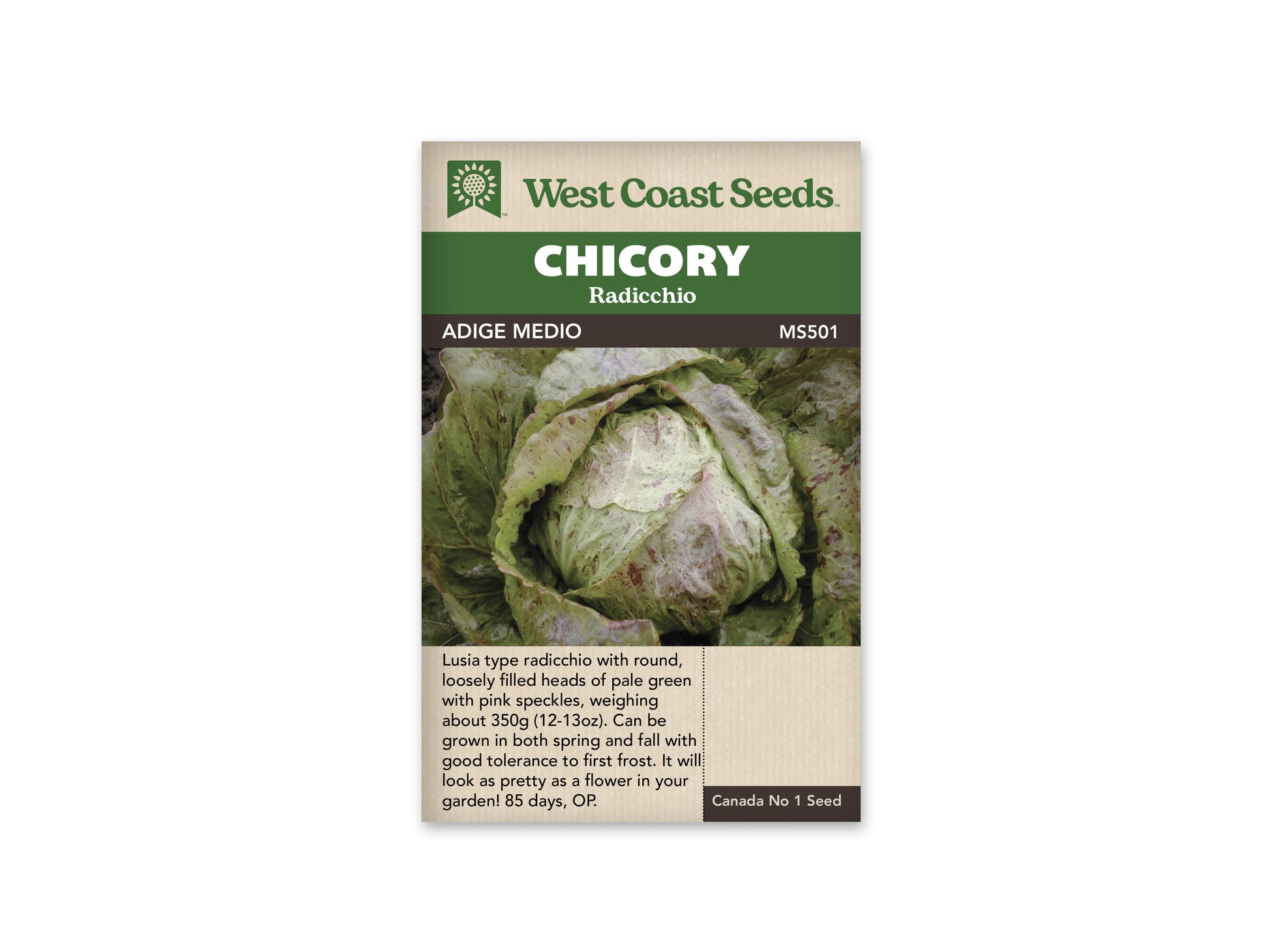 Chicory "Adige Medio" West Coast Seeds