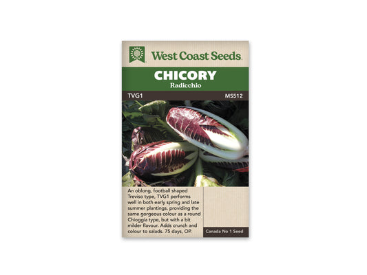 Chicory "TVG1" West Coast Seeds