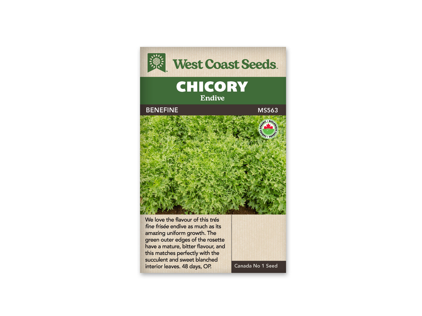 Chicory "Benefine Organic" West Coast Seeds