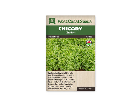 Chicory "Benefine Organic" West Coast Seeds