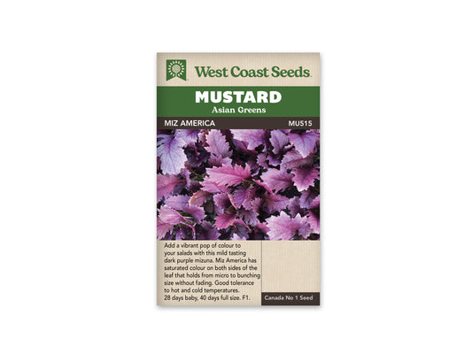 Greens "Miz America F1" West Coast Seeds