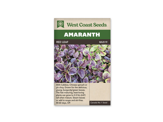 Amaranth “Red Leaf” West Coast Seeds