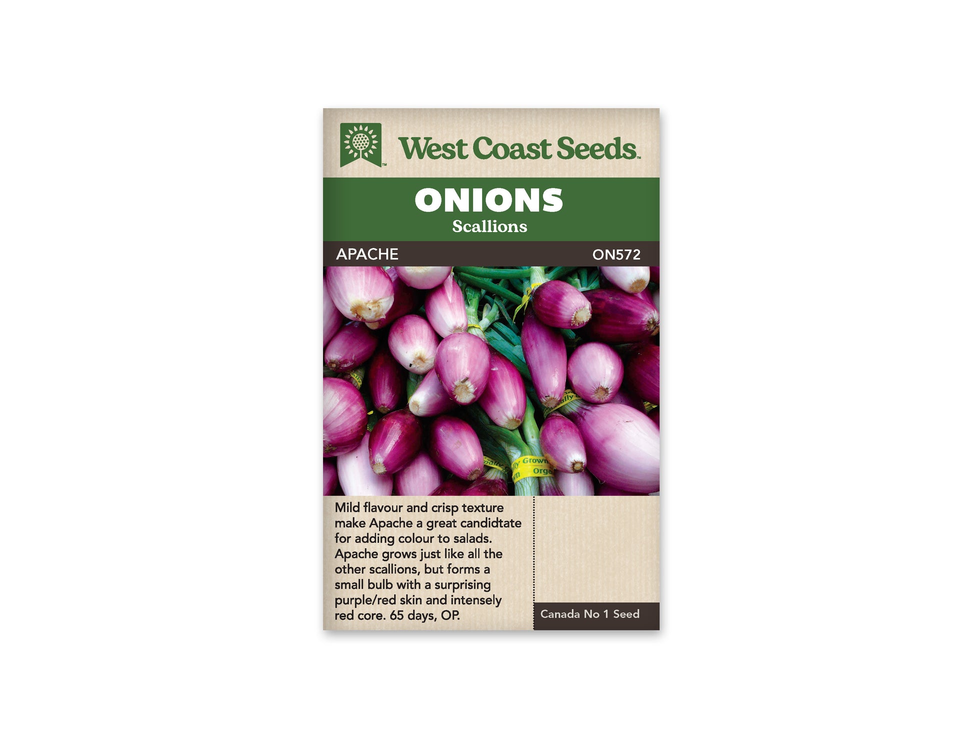 Onions "Apache" West Coast Seeds