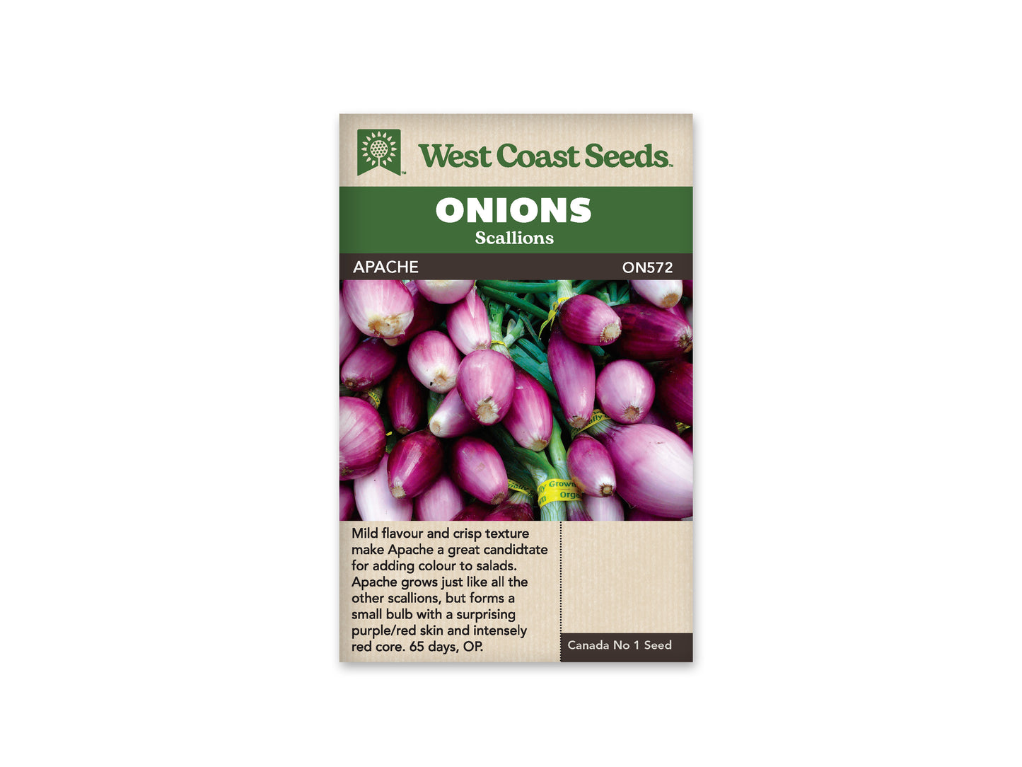 Onions “Apache” West Coast Seeds
