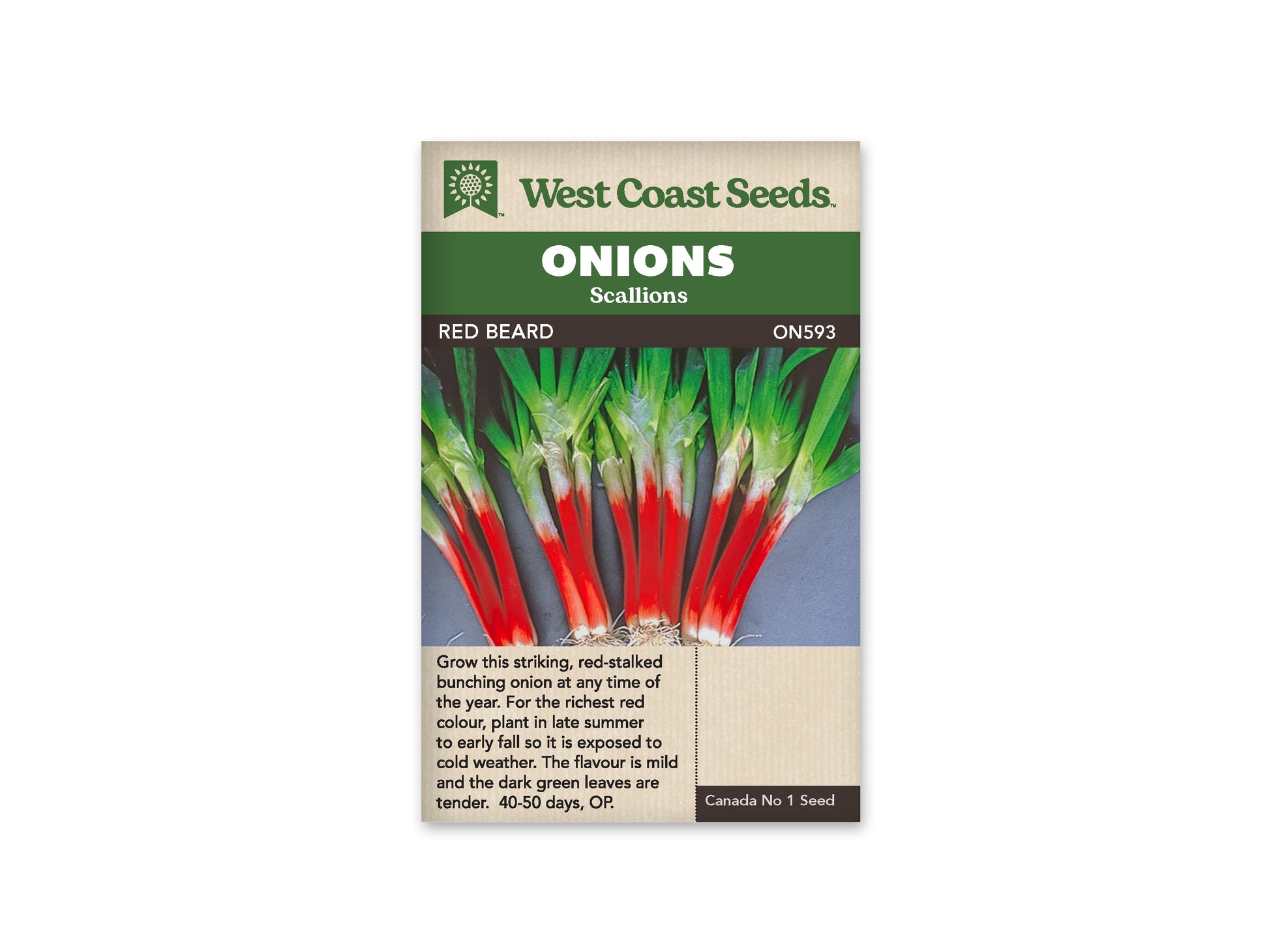 Onions "Red Beard" West Coast Seeds