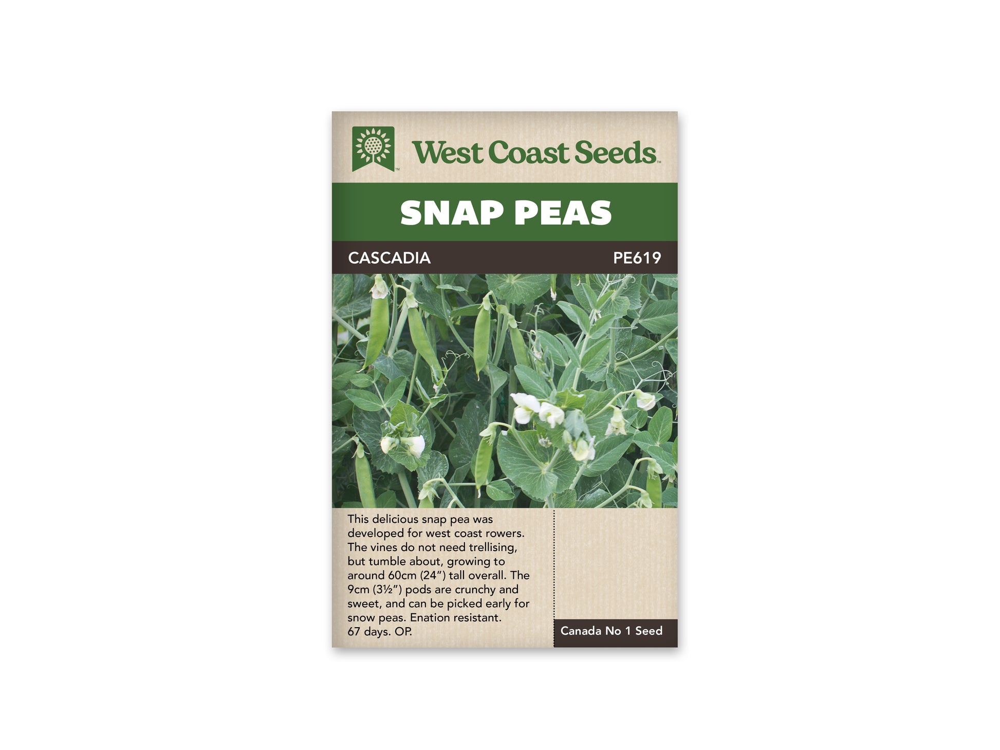 Peas “Cascadia” West Coast Seeds