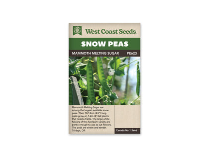 Peas "Mammoth Melting Sugar" West Coast Seeds 20g
