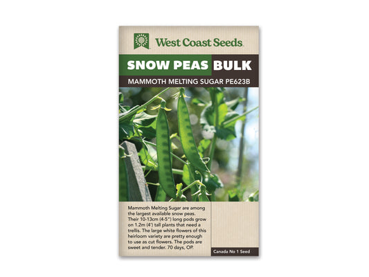 Peas "Mammoth Melting Sugar" West Coast Seeds 75g