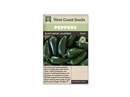 Hot Peppers “Black Magic F1 Organic” West Coast Seeds