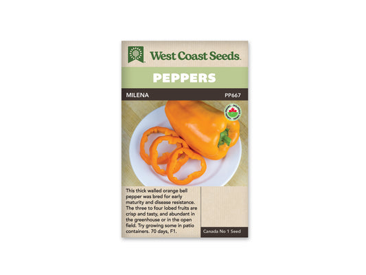 Sweet Peppers “Milena F1 Organic” West Coast Seeds