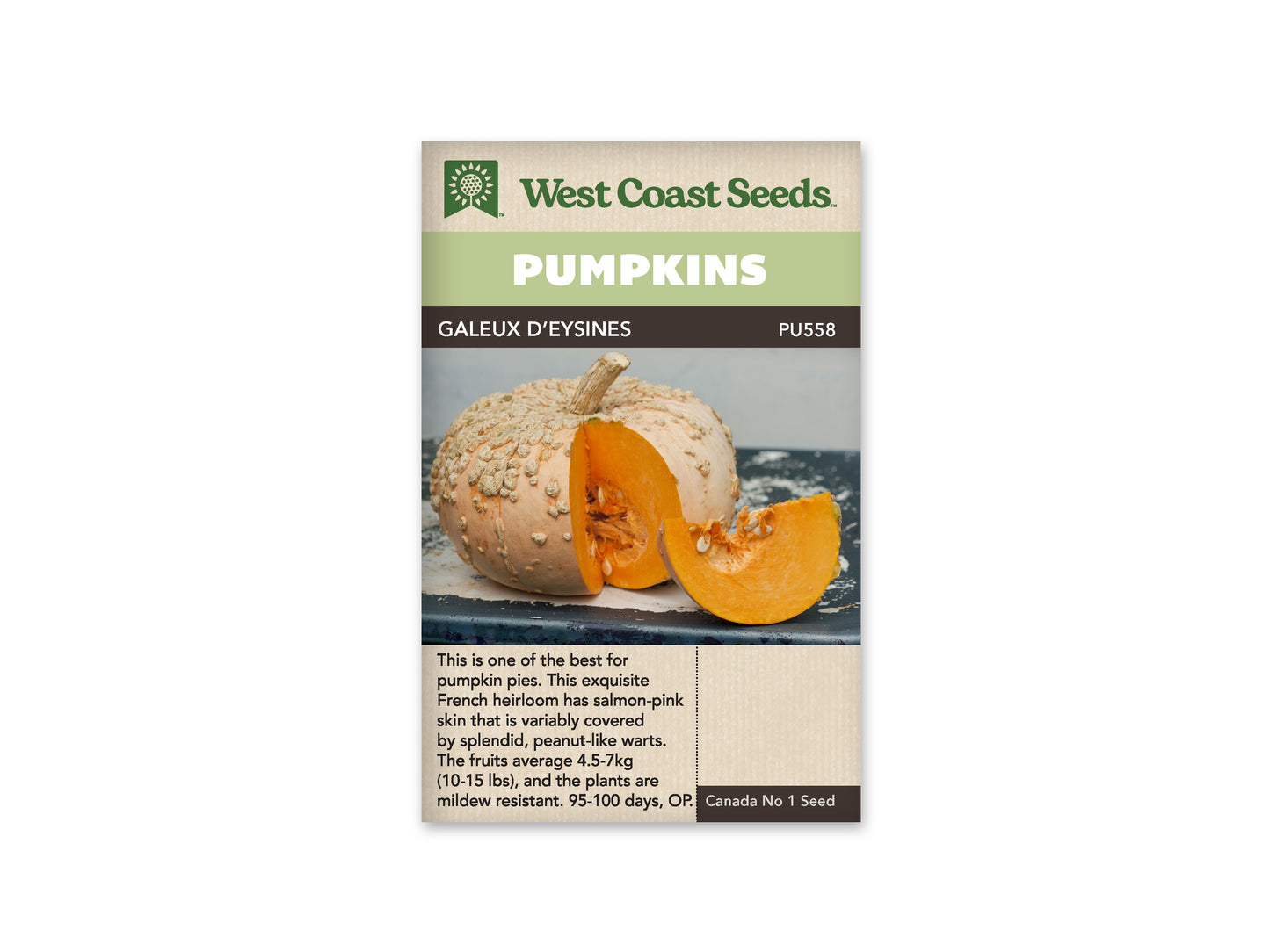 Pumpkins "Galeux d'Eysines" West Coast Seeds