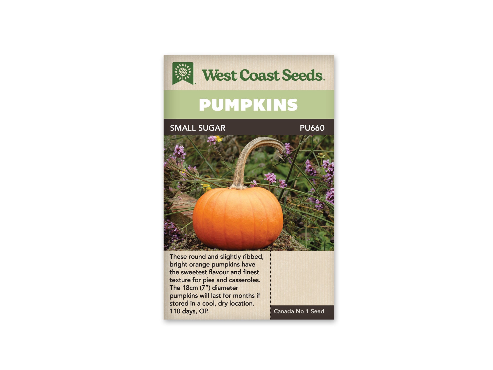 Pumpkins "Small Sugar" West Coast Seeds