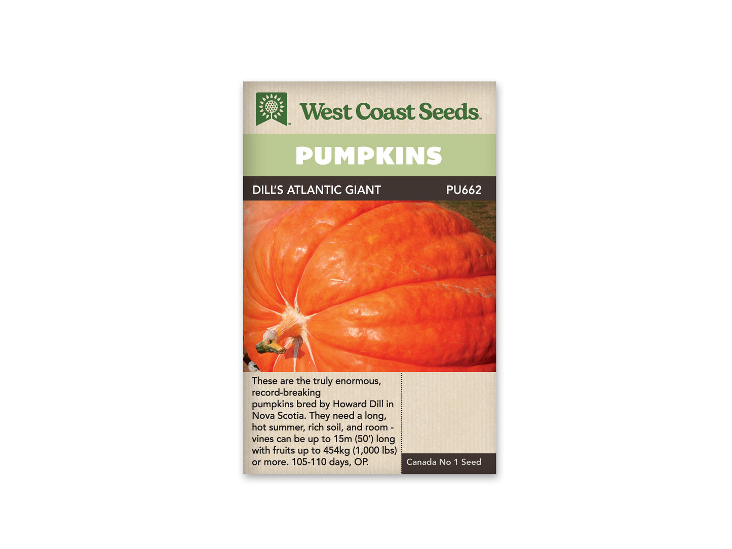 Pumpkins “Dill’s Atlantic Giant” West Coast Seeds