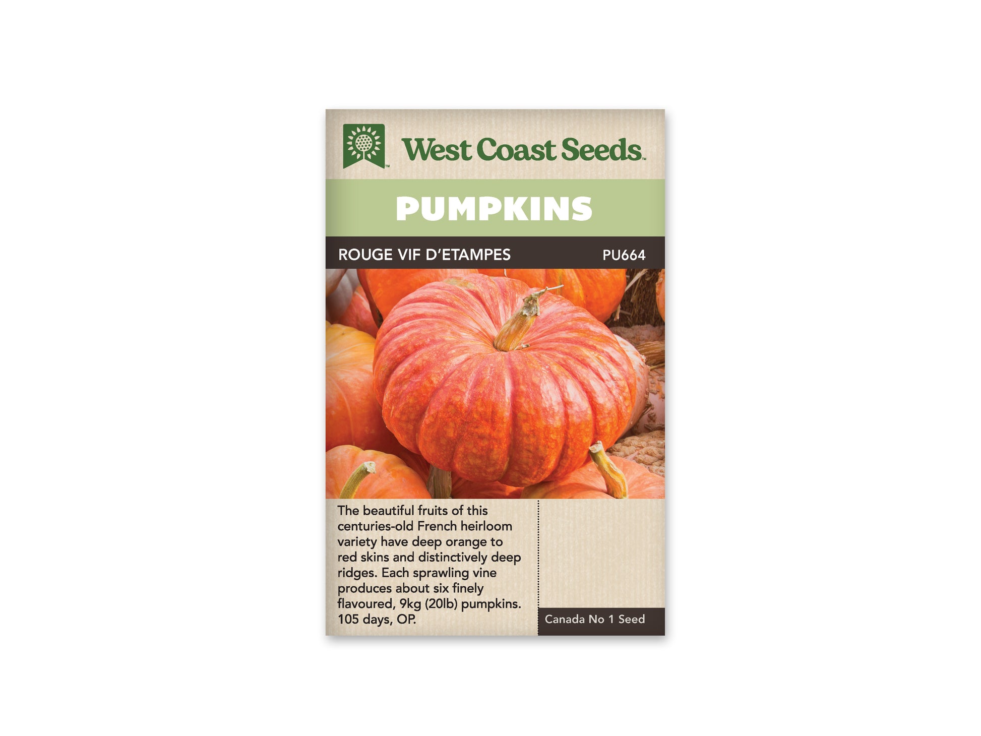 Pumpkins "Rouge Vif d'Etampes" West Coast Seeds