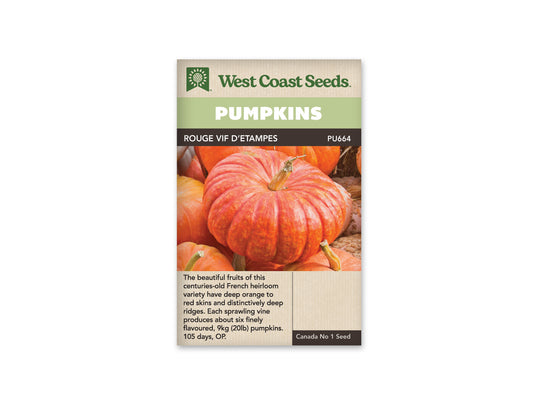 Pumpkins "Rouge Vif d'Etampes" West Coast Seeds