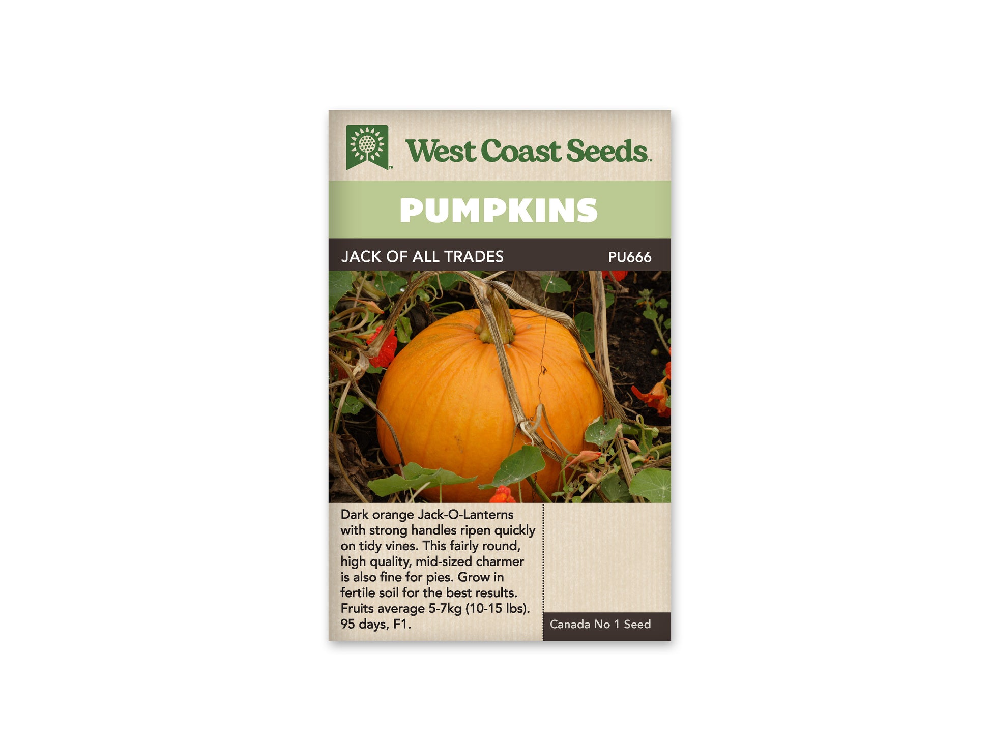 Pumpkins "Jack of All Trades F1" West Coast Seeds