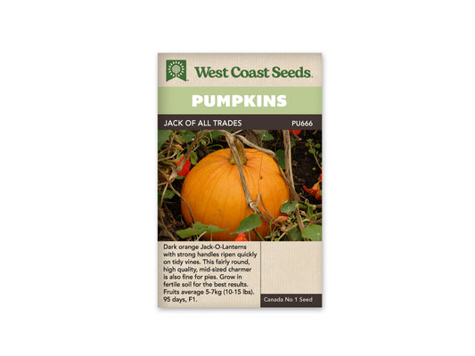 Pumpkins "Jack of All Trades F1" West Coast Seeds
