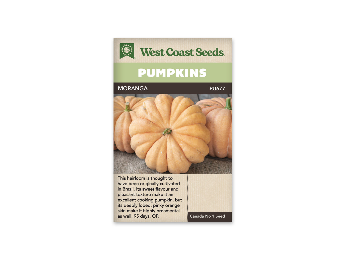 Pumpkins "Moranga" West Coast Seeds