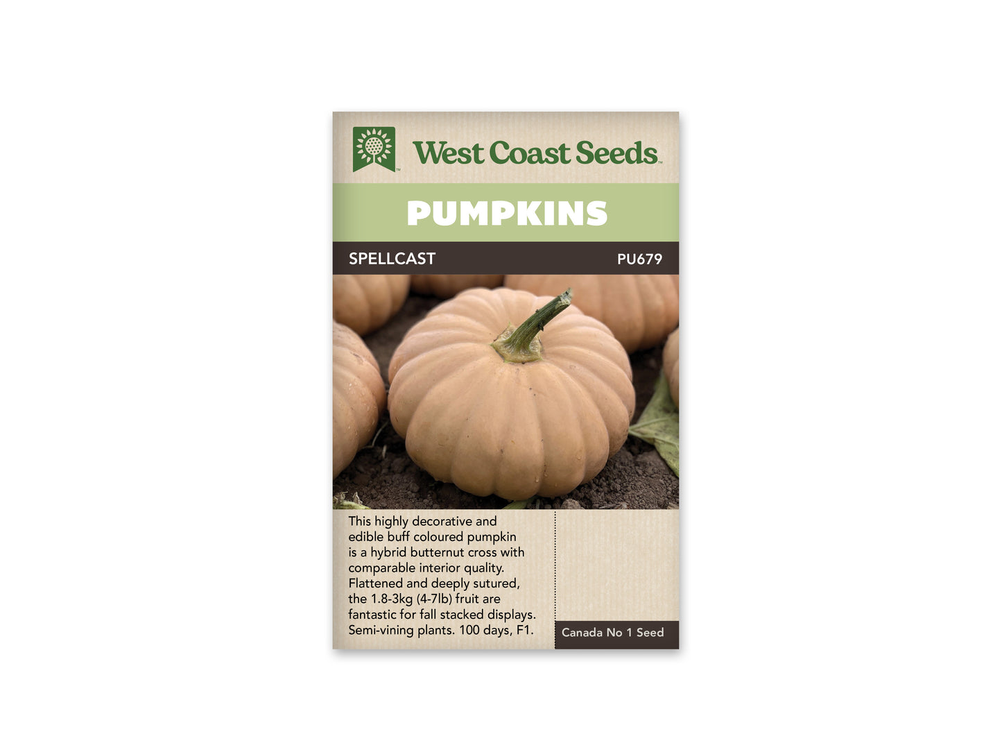 Alfalfa "Spellcast F1" West Coast Seeds