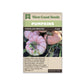 Pumpkins "Porcelain Princess F1" West Coast Seeds