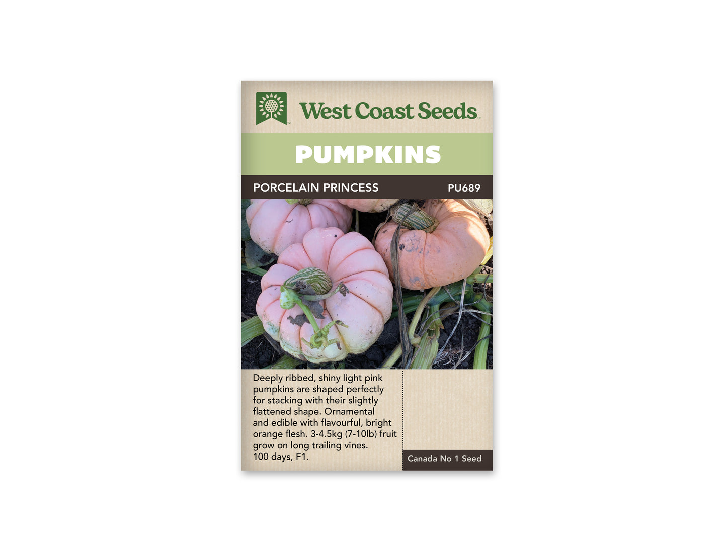 Pumpkins "Porcelain Princess F1" West Coast Seeds