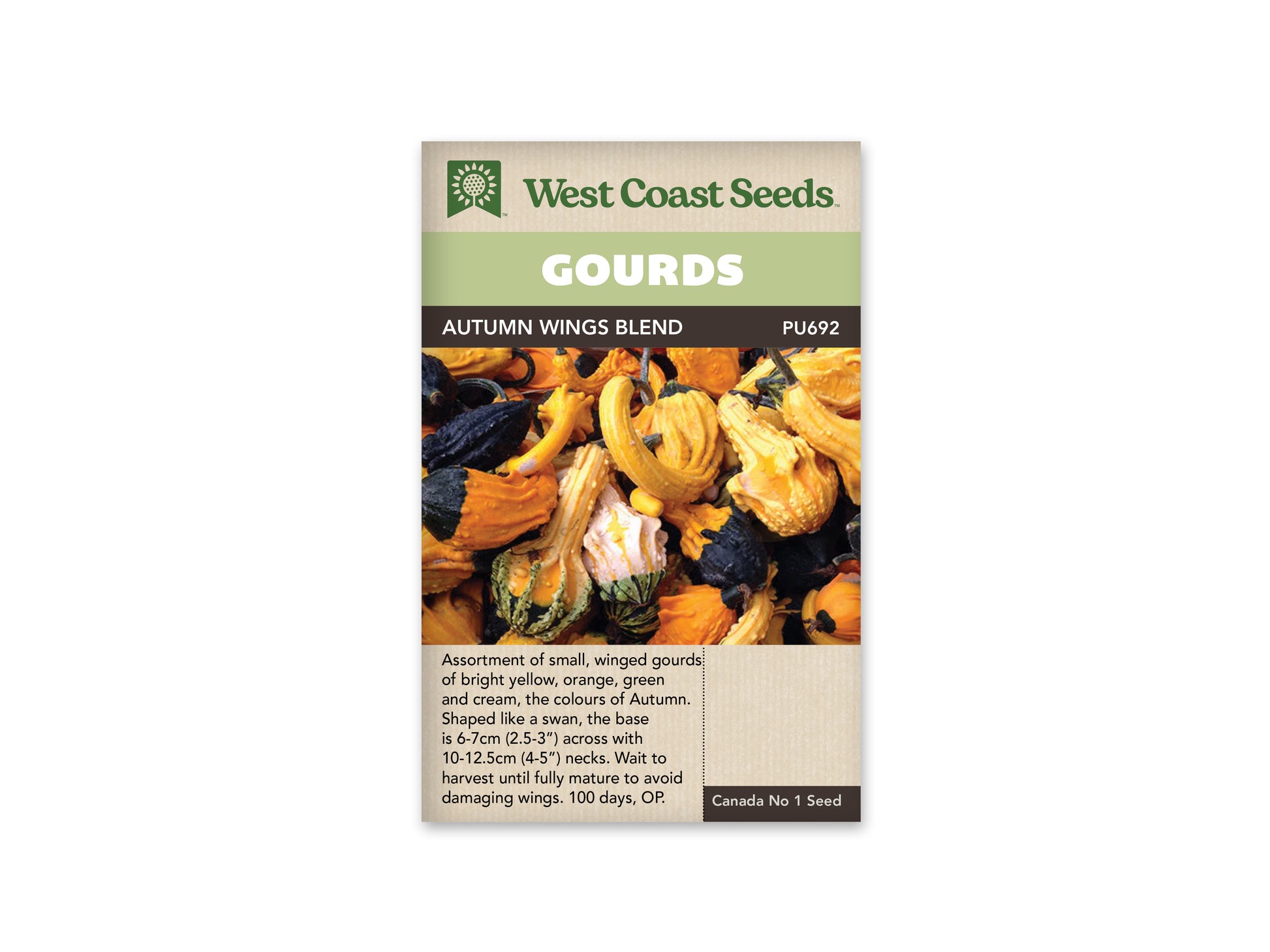 Pumpkins "Autumn Wings Blend" West Coast Seeds