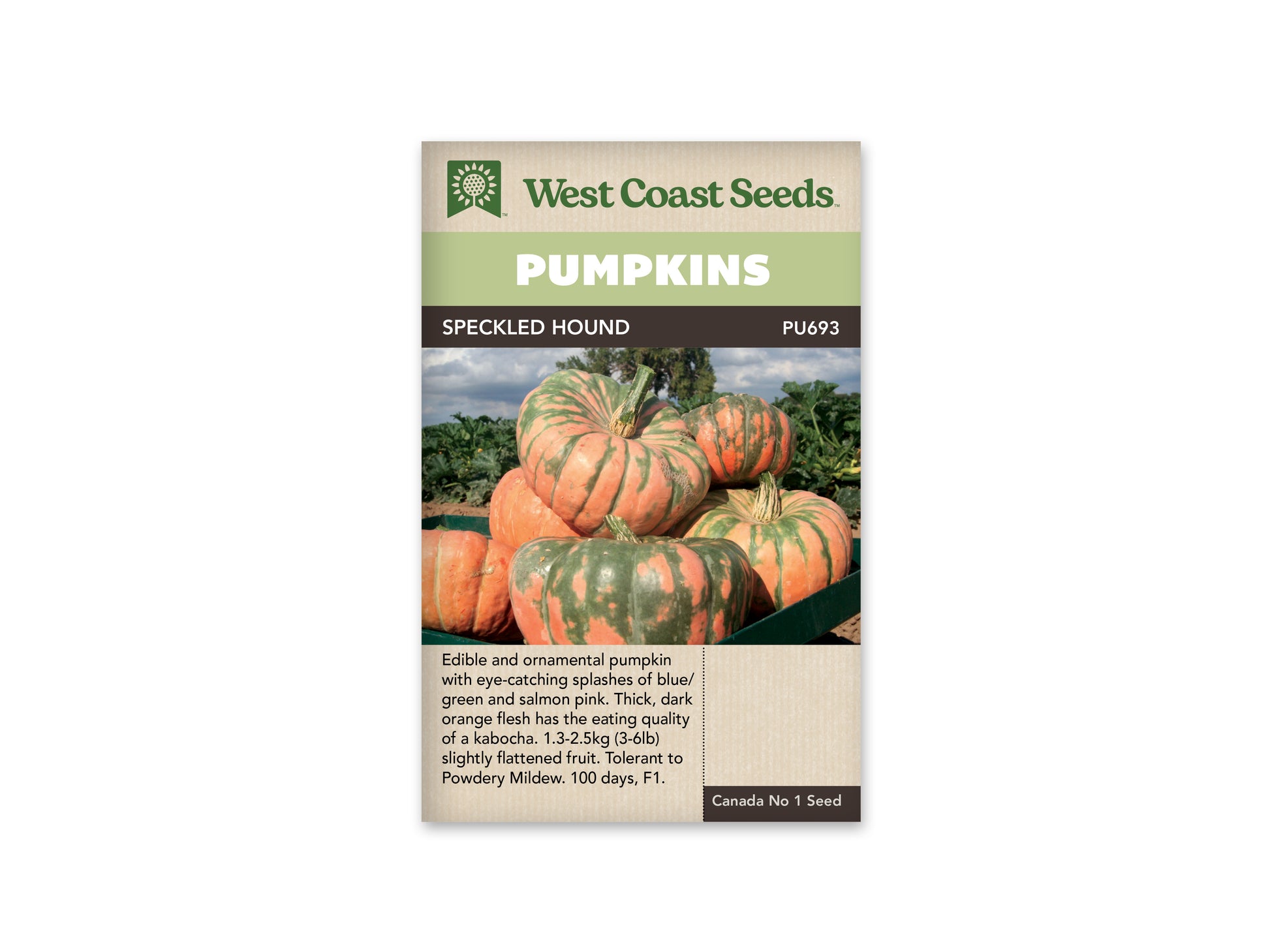 Pumpkins "Speckled Hound F1" West Coast Seeds