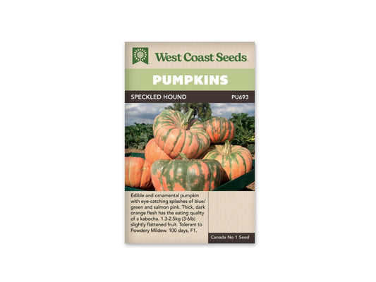 Pumpkins "Speckled Hound F1" West Coast Seeds
