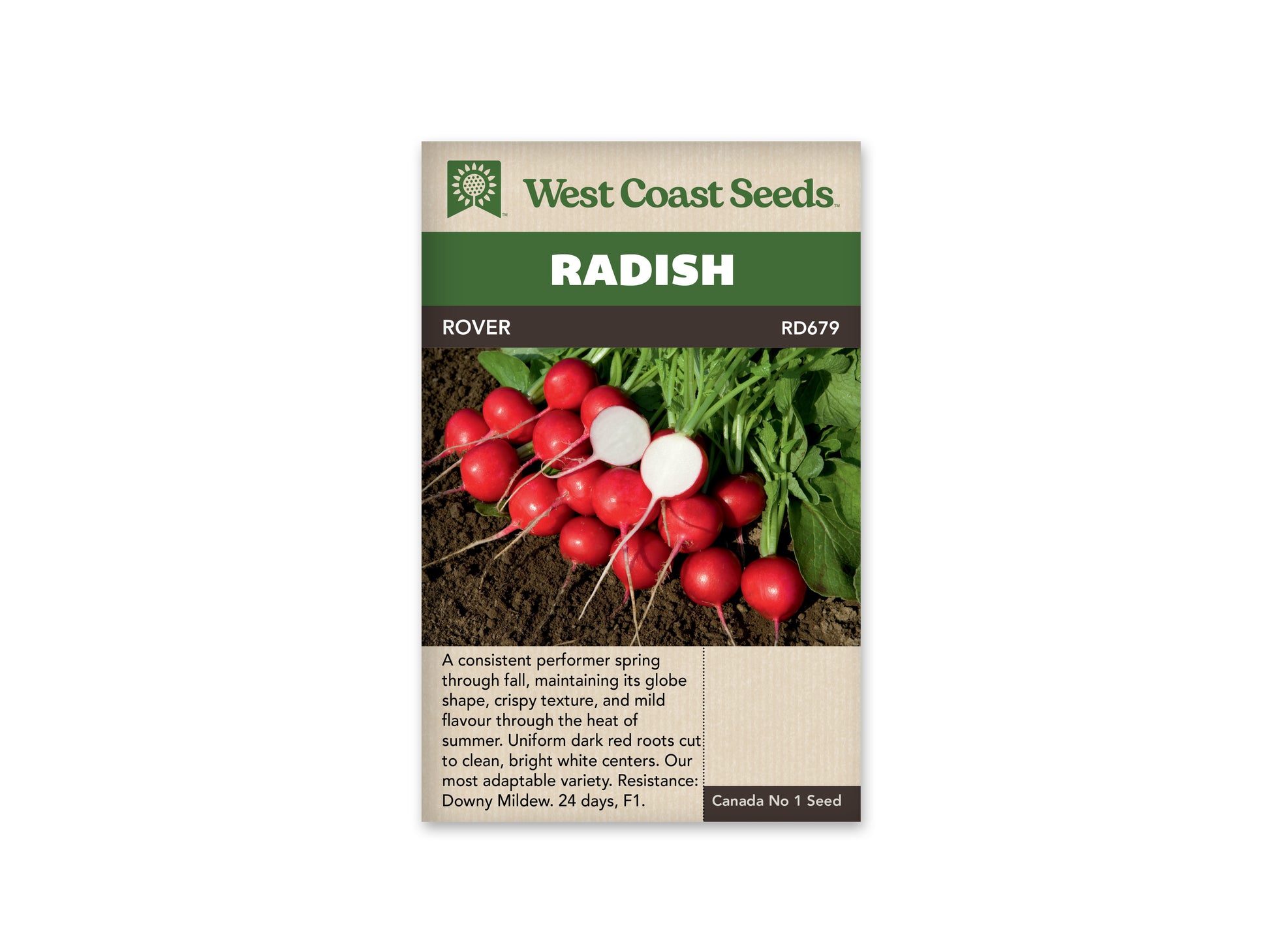 Radishes "Rover F1" West Coast Seeds