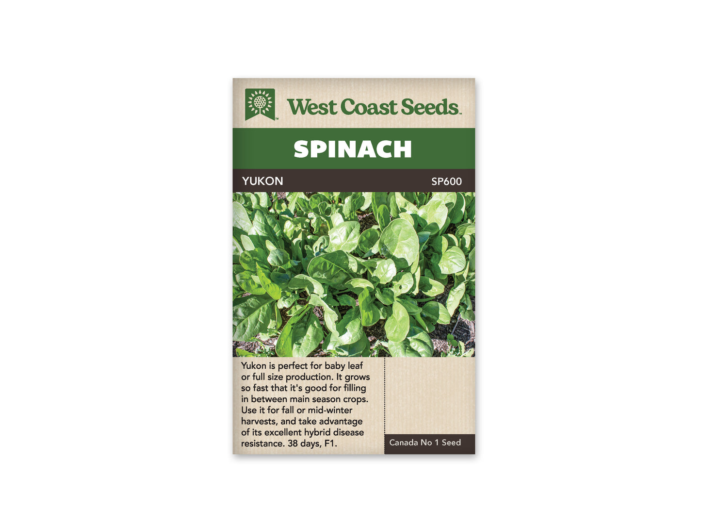 Spinach “Yukon F1” West Coast Seeds