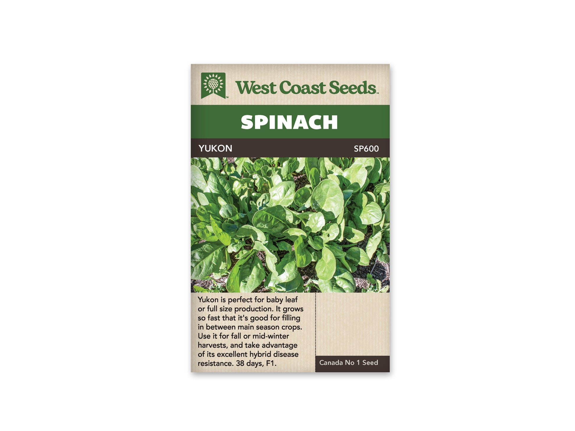 Spinach “Yukon F1” West Coast Seeds