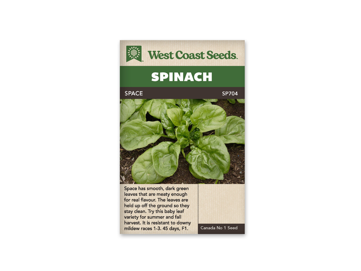 Spinach “Space F1” West Coast Seeds
