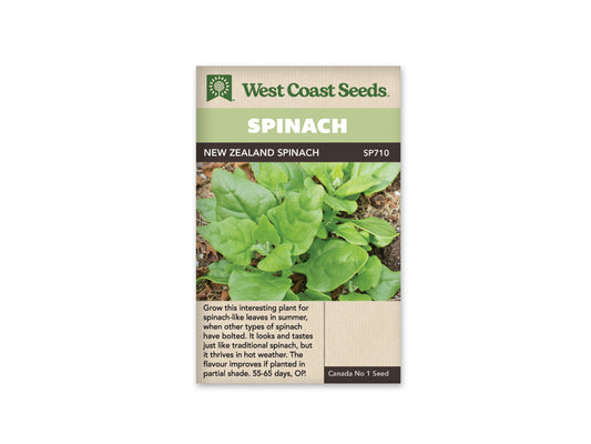 Spinach “New Zealand Spinach” West Coast Seeds