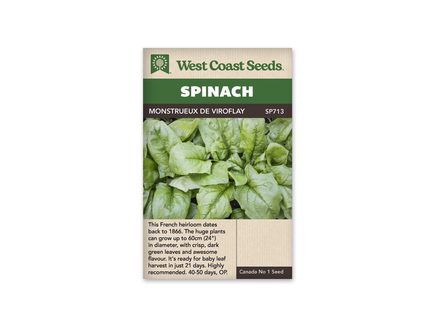 Spinach "Monstrueux de Viroflay" West Coast Seeds