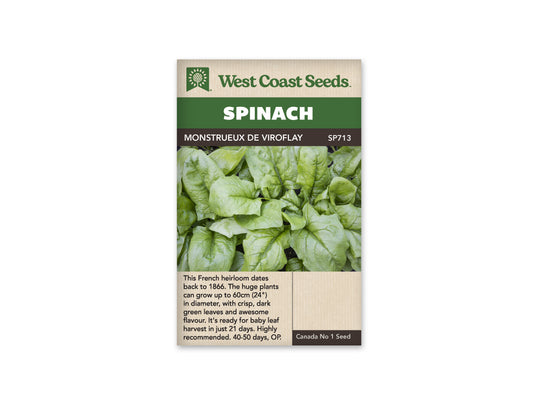 Spinach "Monstrueux de Viroflay" West Coast Seeds