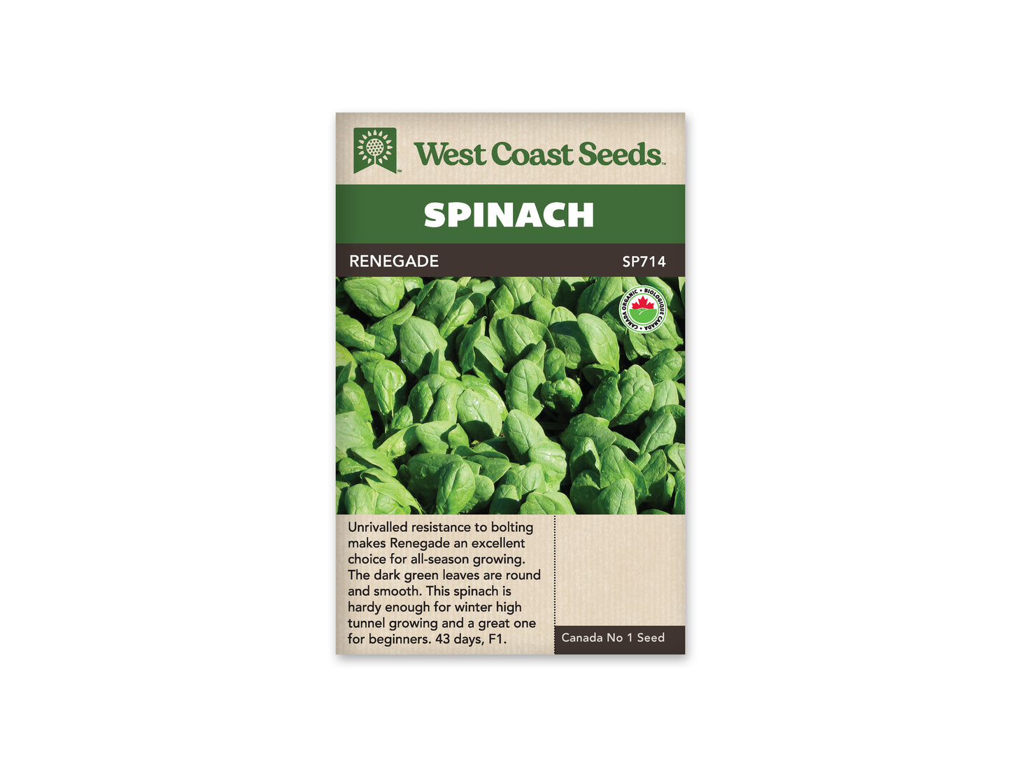 Spinach "Renegade F1 Coated Organic" West Coast Seeds